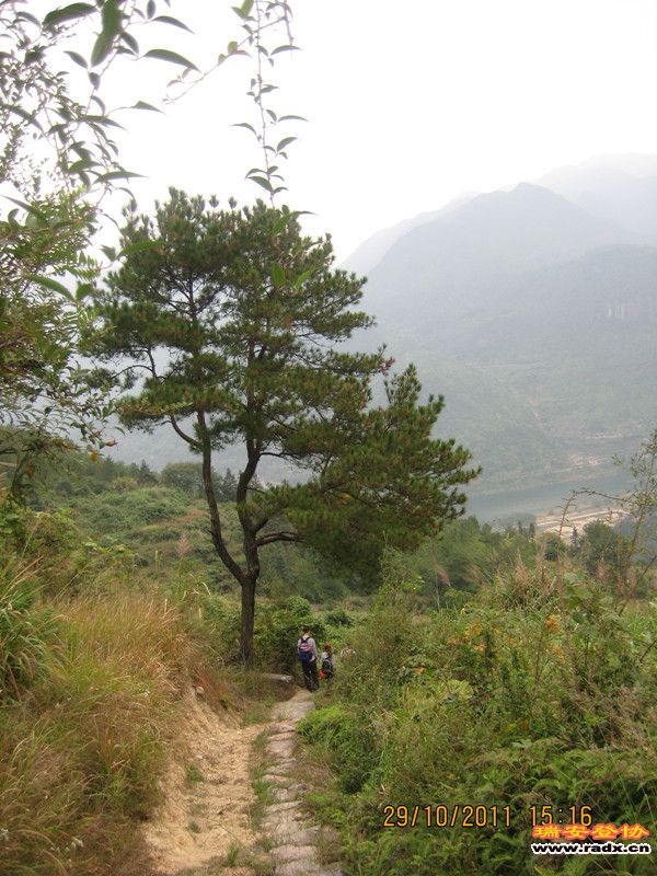 IMG_1187_副本.jpg