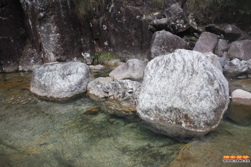 _MG_8978.JPG