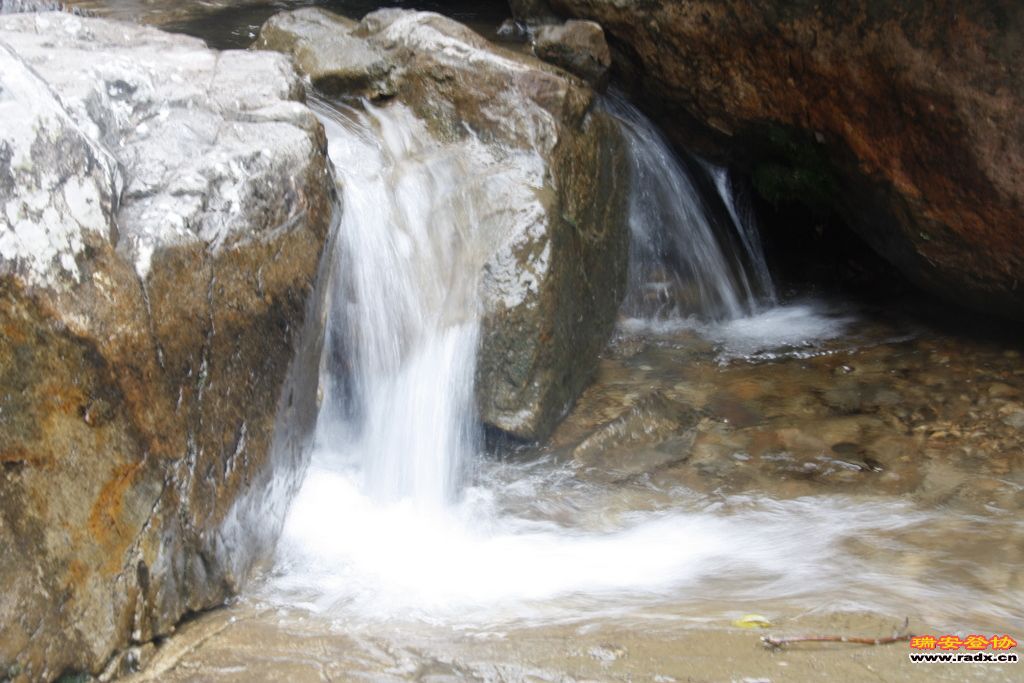 _MG_8980.JPG