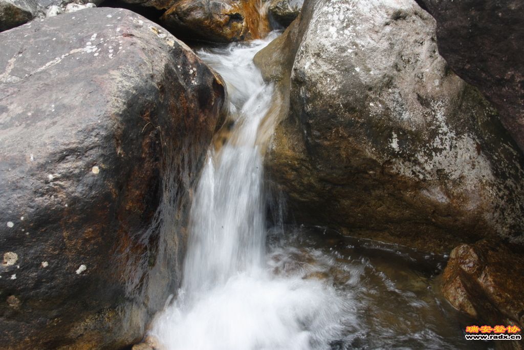 _MG_8982.JPG