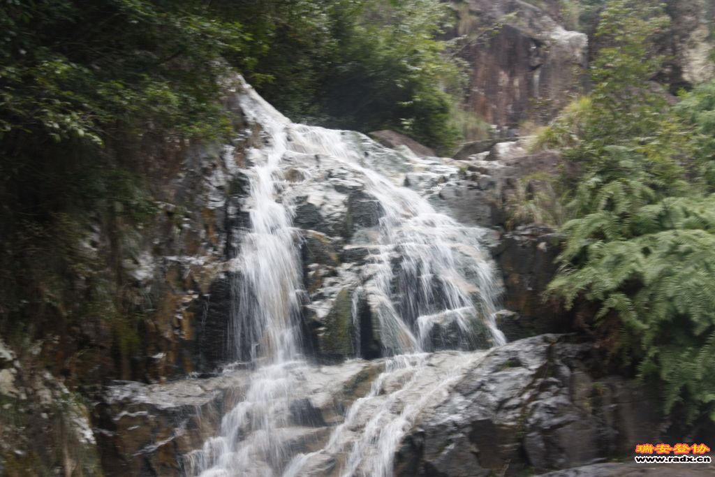 _MG_8983.JPG