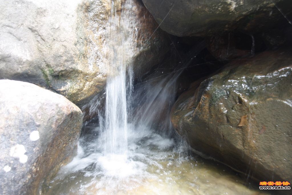 _MG_8981.JPG
