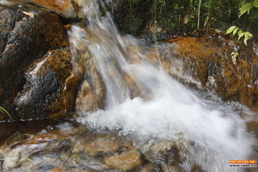_MG_8984.JPG