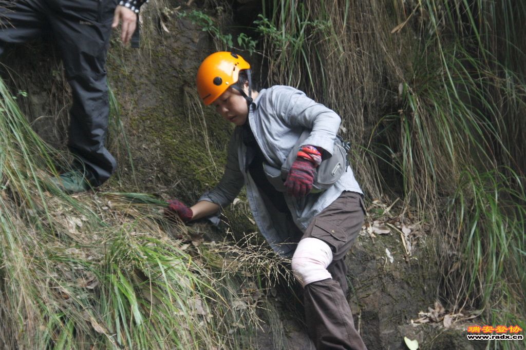 _MG_9018.JPG