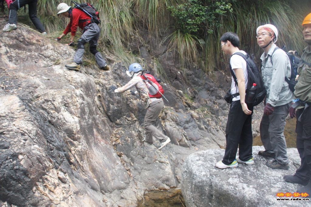 _MG_9037.JPG
