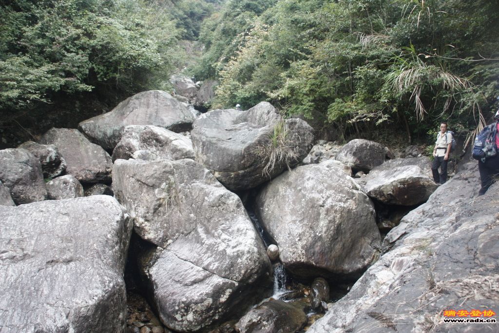 _MG_9059.JPG