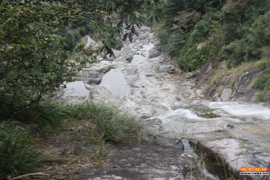 _MG_9093.JPG