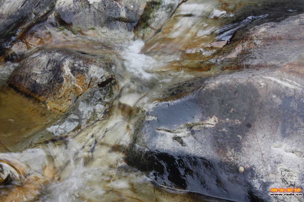 _MG_9100.JPG