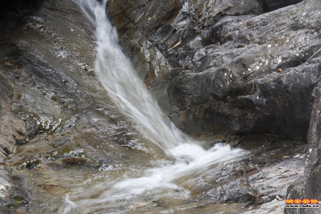 _MG_9101.JPG