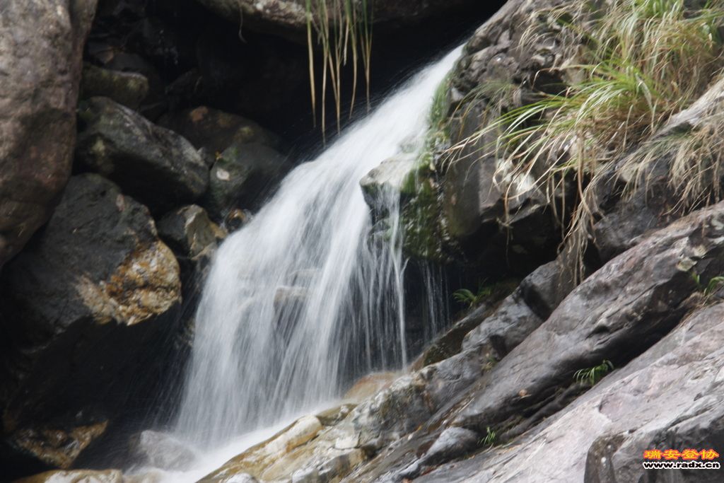 _MG_9102.JPG