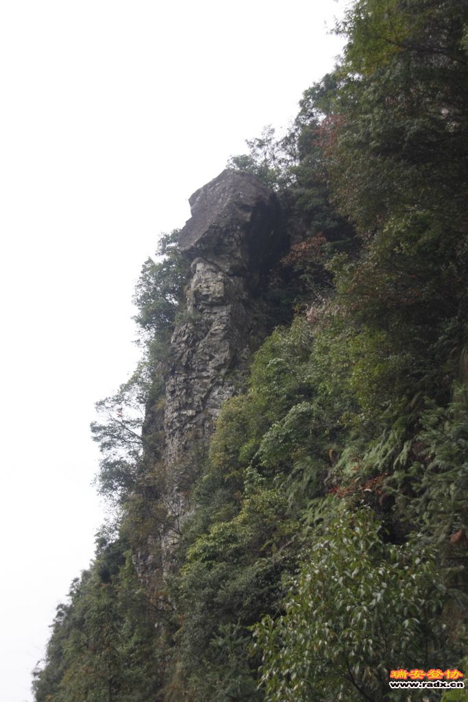 _MG_9123.JPG
