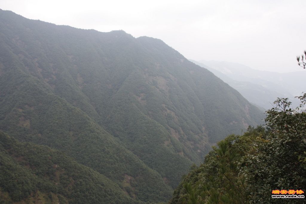 _MG_9124.JPG