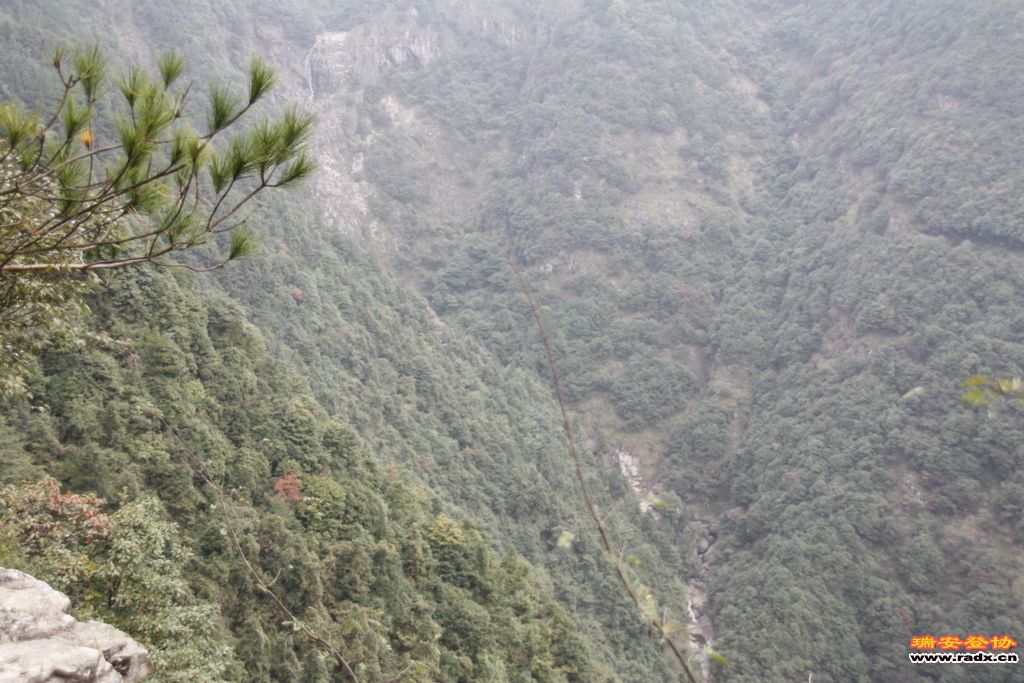 _MG_9129.JPG