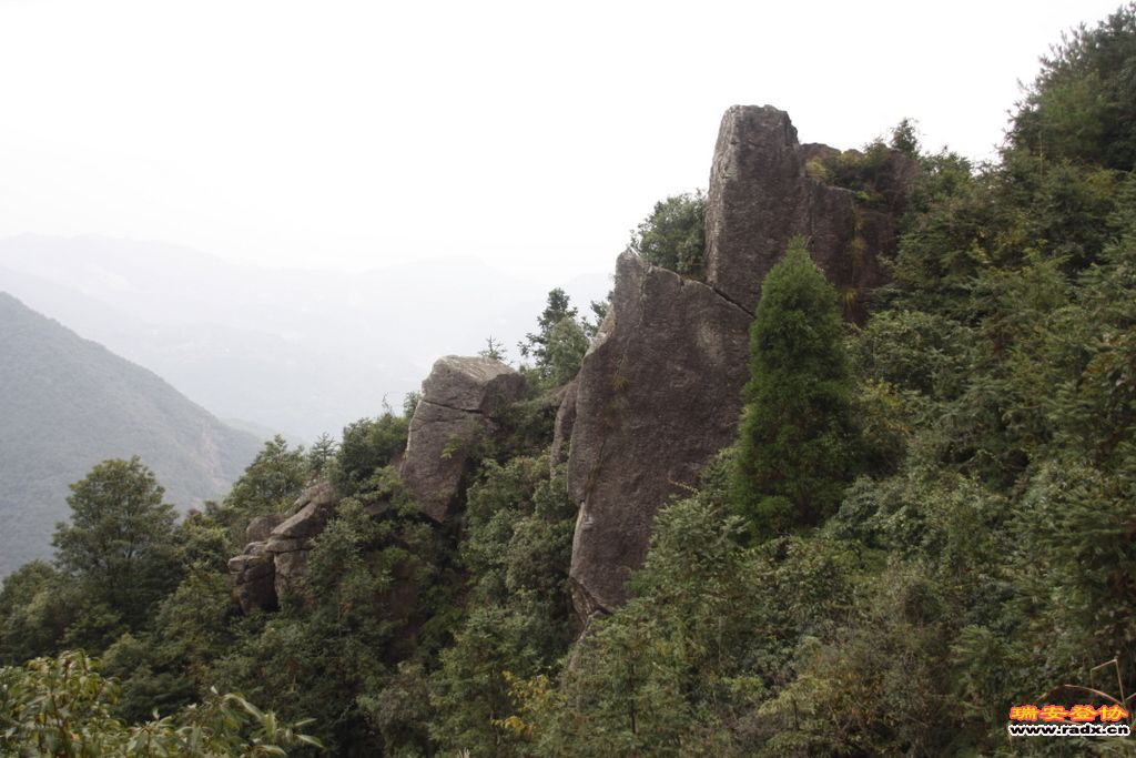 _MG_9131.JPG