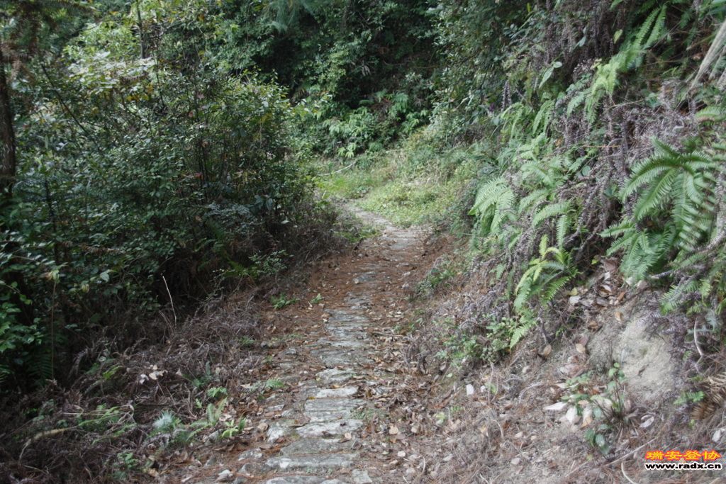 _MG_9140.JPG