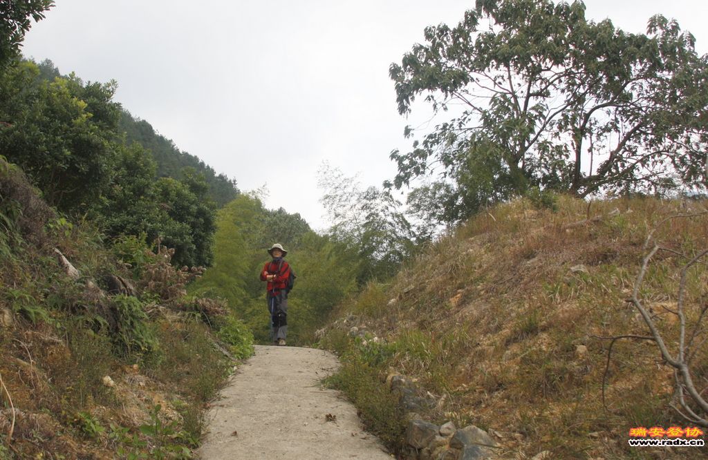 _MG_9145.JPG