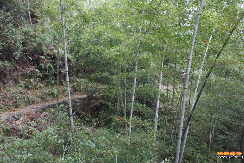 _MG_9142.JPG