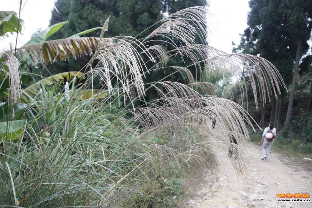 _MG_9170.JPG