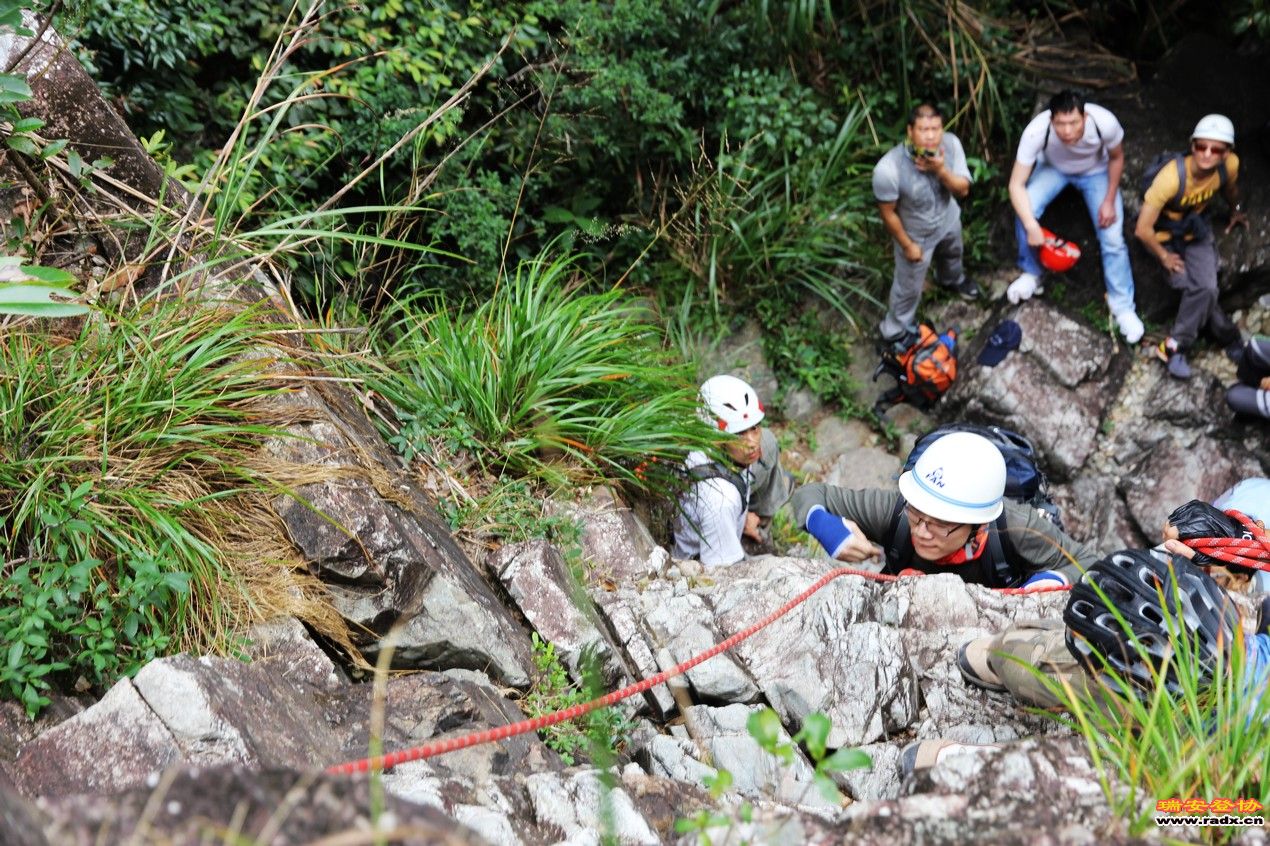 IMG_4056.jpg