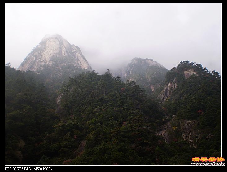 nEO_IMG_P6150059.jpg