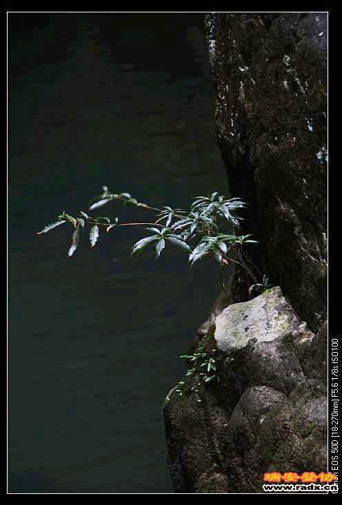 nEO_IMG_IMG_0280.jpg