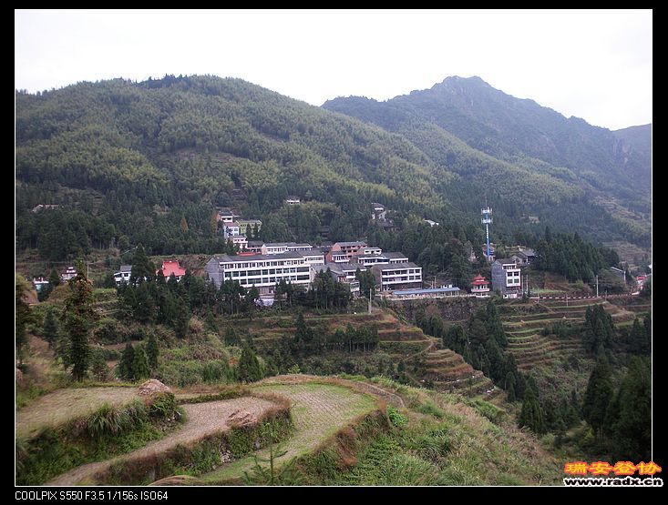 桂峰