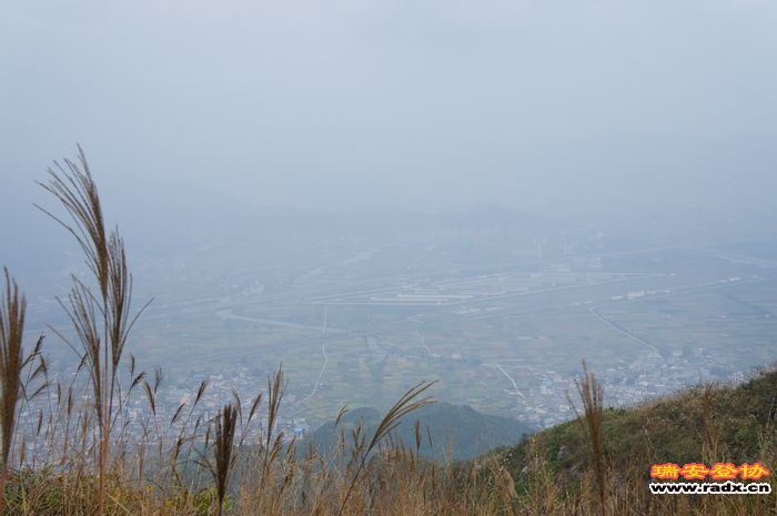 DSC01443.jpg