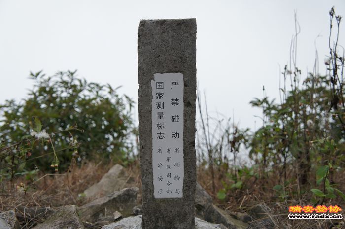 DSC01481.jpg