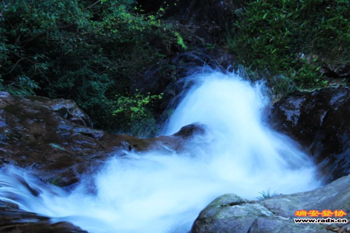 IMG_6415.jpg