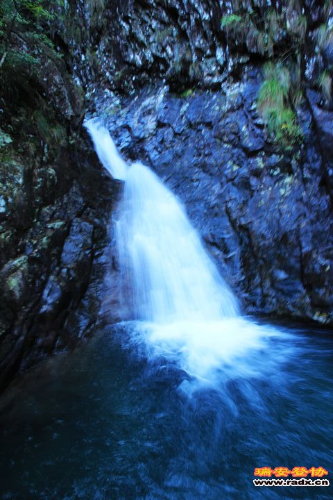 IMG_6417.jpg