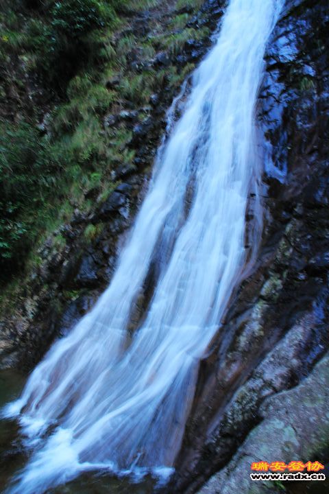 IMG_6398.jpg