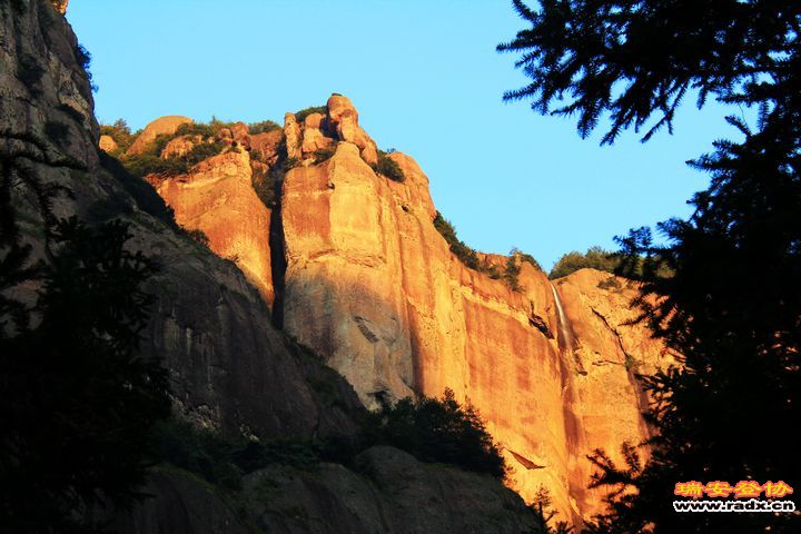 IMG_6445.jpg