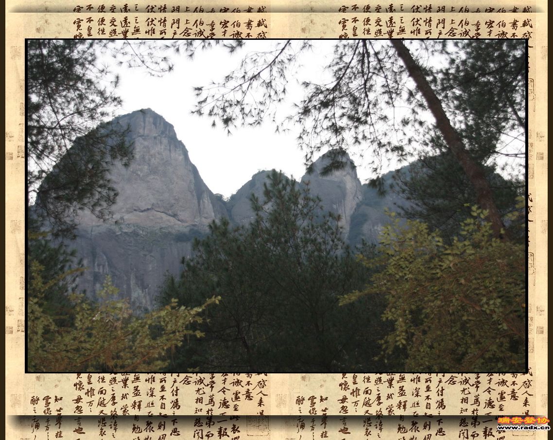 _MG_0008.JPG