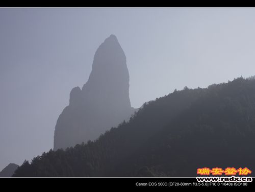 _MG_5535.jpg