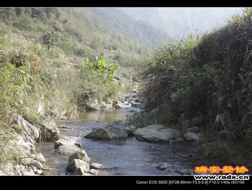 _MG_5540.jpg