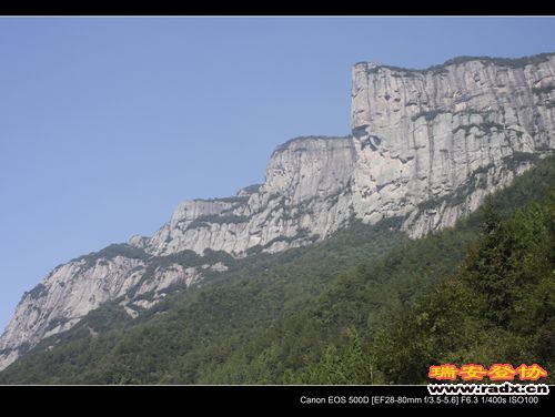_MG_5550.jpg