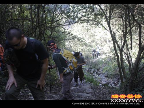 _MG_5559.jpg