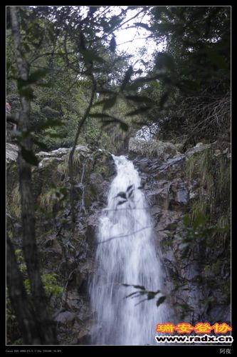 _MG_5601.jpg