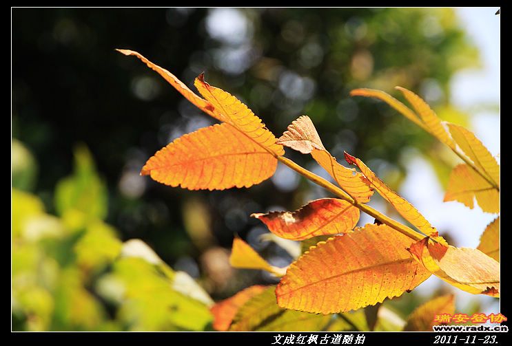 nEO_IMG_IMG_0192.jpg
