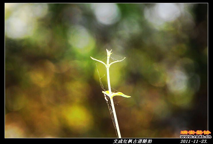 nEO_IMG_IMG_0281.jpg
