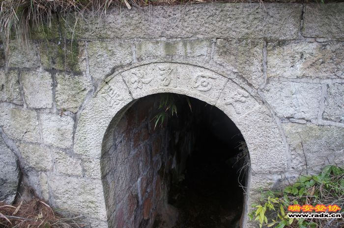 DSC01668.jpg
