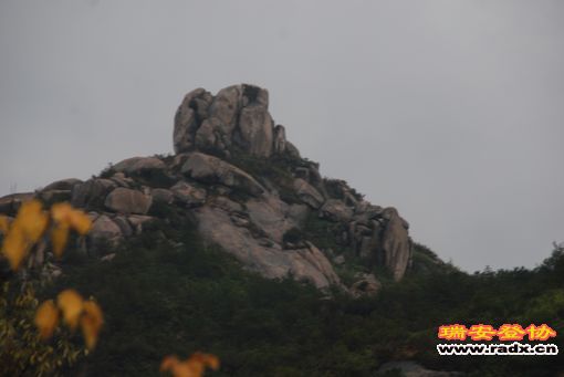DSC_0873.jpg