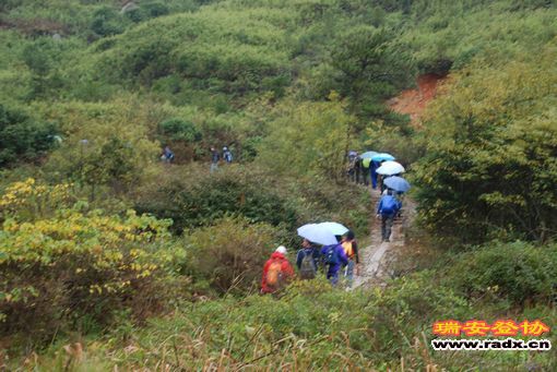DSC_0877.jpg