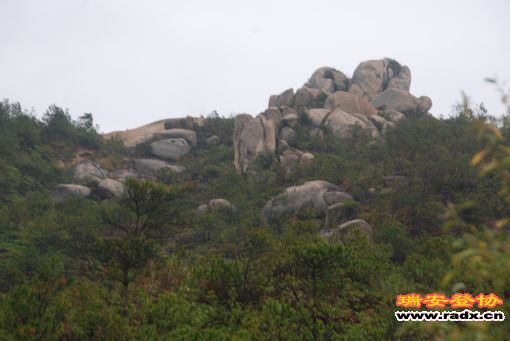 DSC_0892.jpg