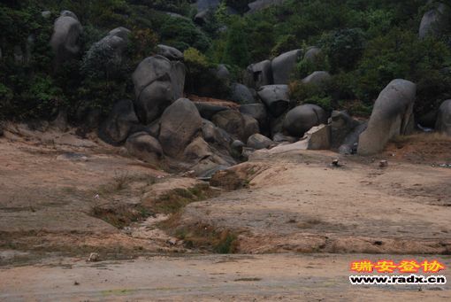 DSC_0895.jpg