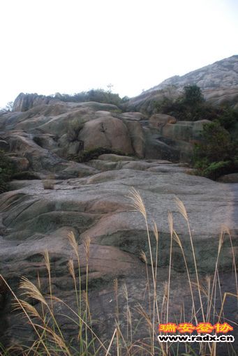 DSC_0984.jpg