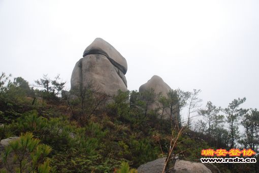 DSC_1060.jpg