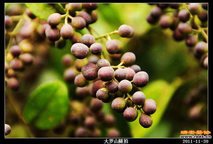 nEO_IMG_照片 007.jpg