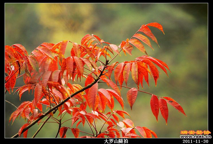 nEO_IMG_照片 004.jpg