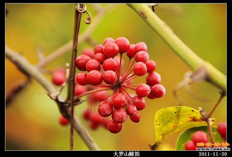 nEO_IMG_照片 009.jpg